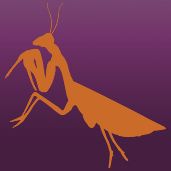 Insect 2 Iron on Decal